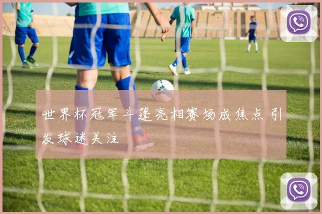世界杯冠军斗篷亮相赛场成焦点 引发球迷关注