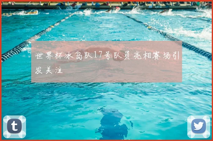 世界杯冰岛队17号队员亮相赛场引发关注