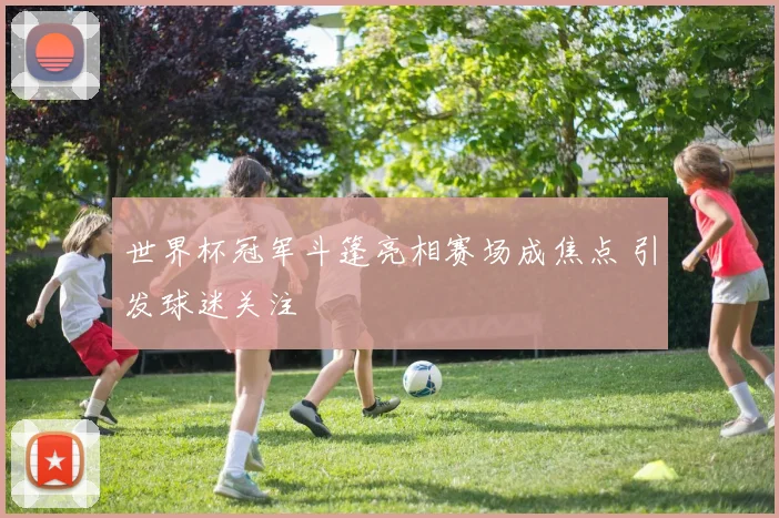 世界杯冠军斗篷亮相赛场成焦点 引发球迷关注