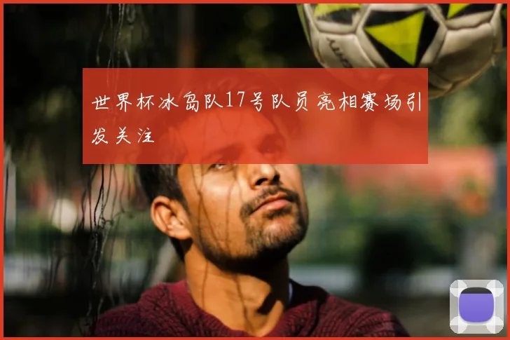 世界杯冰岛队17号队员亮相赛场引发关注