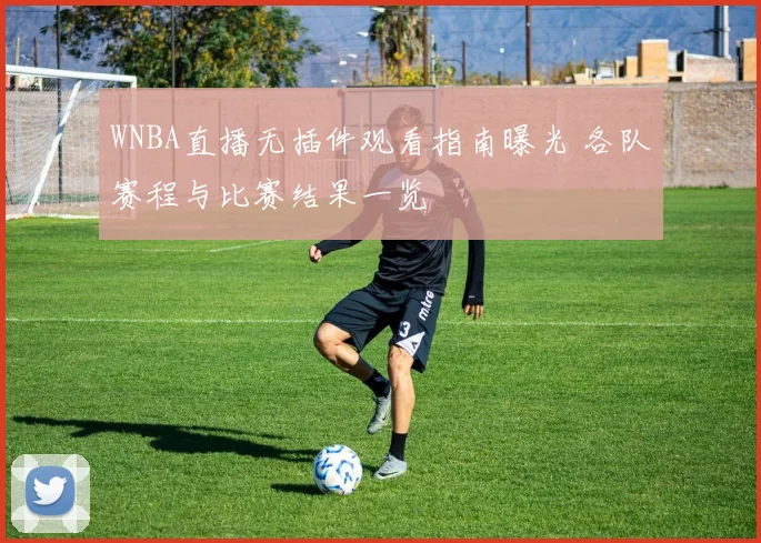 WNBA直播无插件观看指南曝光 各队赛程与比赛结果一览