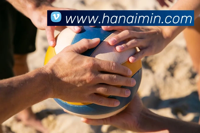 多媒体互动体验